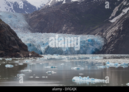 Sawyer Glacier, Alaska, fjord Tracy Arm Banque D'Images