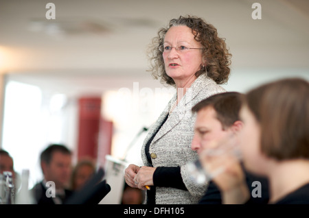 Jenny Jones, la Baronne de Moulsecoomb Jones rejoint la Chambre des Lords en 2013, après avoir été choisi pour ce rendez-vous dans un bulletin de vote de tous les membres du Parti Vert. Elle a également été un membre du Parti Vert de l'Assemblée de Londres depuis 2000 et a été élu le premier député Vert de Southwark Conseil, Banque D'Images