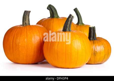 Pumpkins sur fond blanc. L'automne et la composition de l'halloween Banque D'Images