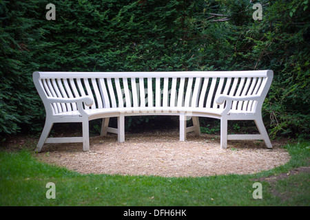 Banc en bois blanc courbé en face de yew hedge Banque D'Images