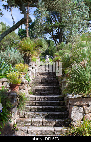 Jardins de l'abbaye de Tresco marches de pierre, Îles Scilly, UK Banque D'Images