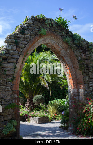 Jardins de l'abbaye de Tresco ruiné arch, Penzance, Cornwall, UK Banque D'Images