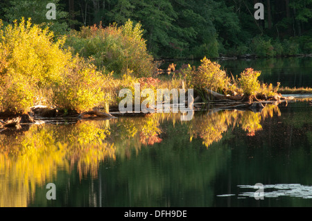 L'étang avec des couleurs d'automne dans la région de Andover, Massachusetts Banque D'Images