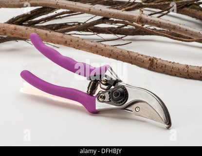 Plusieurs tailles de couteaux pour couper les branches d'arbres Banque D'Images