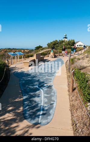 La Californie, San Diego, Point Loma, Baleine grise (Eschrichtius robustus) design sur trottoir route de migration de la zone de visualisation Banque D'Images