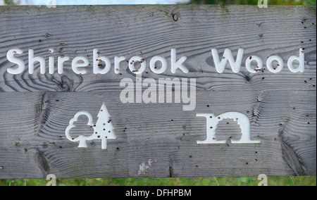 Commission des forêts d'affichage en bois en bois Shirebrook parsemé de plombs de carabine à air. Banque D'Images