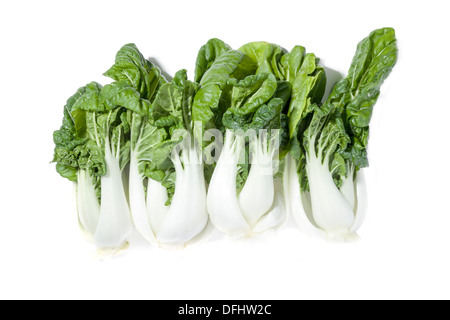 Pak Choi Banque D'Images