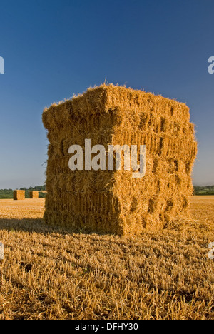 Stand de foin dans un champ de chaume, en attente de collecte dans les Cotswolds. Banque D'Images