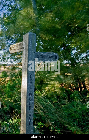 Fabricants de bois panneau indiquant la manière de Cotswold long distance sentier public près de Chipping Campden. Banque D'Images