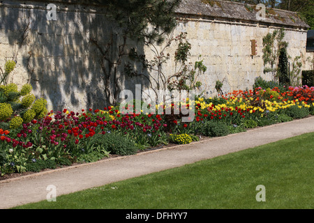 Frontière de tulipes au printemps, les jardins botaniques d'Oxford, l'Université d'Oxford, Oxford, Oxfordshire, Angleterre. Mai. Banque D'Images