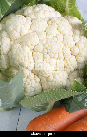 Belle tête de chou-fleur frais avec les feuilles et les carottes utile pour manger sains et biologiques ou des concepts de commercialisation Banque D'Images