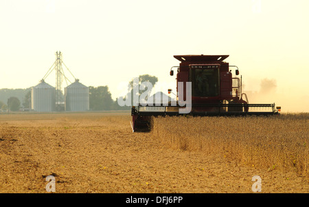 Moissonneuse-batteuse Case IH de la récolte de soja Banque D'Images