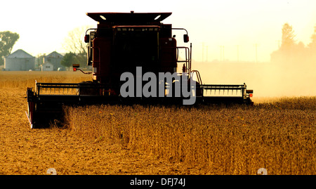 Moissonneuse-batteuse Case IH de la récolte de soja Banque D'Images