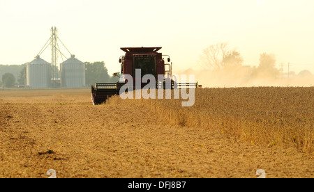 Moissonneuse-batteuse Case IH de la récolte de soja Banque D'Images