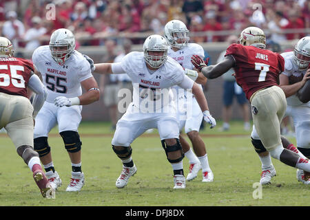 Tallahassee, FL, USA. 05Th Oct, 2013. Octobre 05, 2013 : Le Maryland Terrapins juge de ligne offensive Michael Dunn (76) en action dans le jeu entre les Maryland Terrapins et la Florida State Seminoles à Doak S. Campbell Stadium. Credit : Cal Sport Media/Alamy Live News Banque D'Images