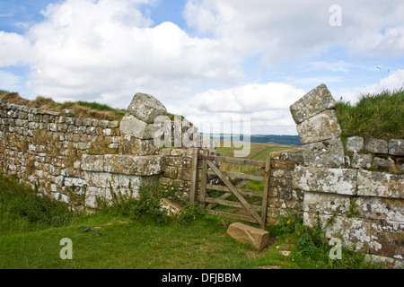 37 Milecastle sur mur d'Hadrien, le Northumberland Banque D'Images