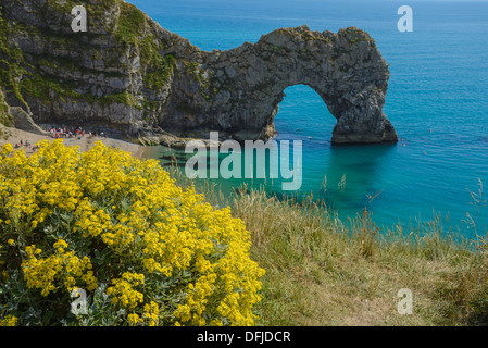 Durdle Door, Site du patrimoine mondial de la Côte Jurassique, Dorset, Angleterre Banque D'Images