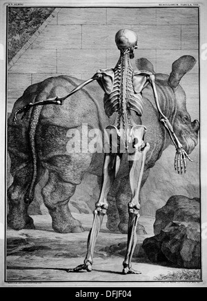 Peinture musée Néerlandais Pays-Bas Banque D'Images