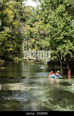 L'homme et la femme en kayak et surf board avec de jeunes preteen boy wearing red slip de patauger dans des eaux peu profondes, clear spring faire couler l'eau. Banque D'Images