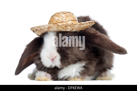 Mini Satin Lop rabbit face avec un chapeau de paille, contre fond blanc Banque D'Images