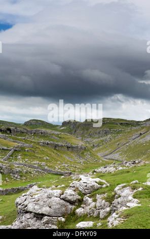 À l'échelle du Malham Lings de Malham Cove, dans le Yorkshire Dales National Park, North Yorkshire, England, UK Banque D'Images