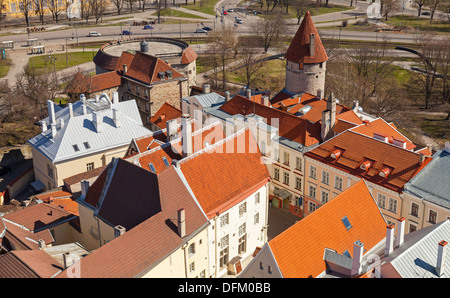 Vue aérienne sur la vieille ville avec la forteresse à Tallinn, Estonie Banque D'Images