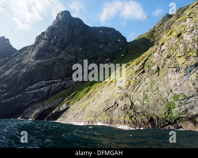 Côte Est de Boreray, St Kilda, Ecosse Banque D'Images