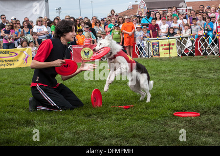 Stunt dog show, 'Extreme' Canines, Great New York State Fair Banque D'Images