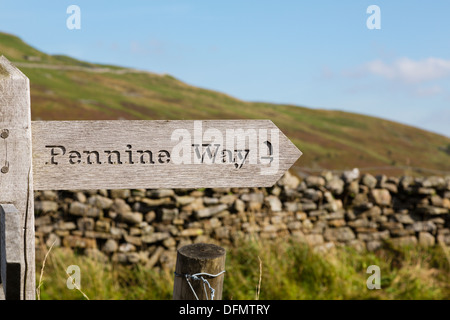 Panneau en bois sculpté montrant le Pennine Way à Twaite, Swaledale, Yorkshire Dales. Banque D'Images