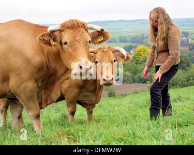 Buehlerzell-Holenstein, Allemagne. 06 Oct, 2013. Farmer Anita Wild-Scholz se trouve à côté de son Limpburg vaches dans un pré en Buehlerzell-Holenstein, Allemagne, 06 octobre 2013. La race bovine Limpurg était menacée d'extinction il y a 20 ans. Aujourd'hui il y a environ 1 900 d'entre eux dans la région de Hohenlohe en Bade-Wurtemberg, en fonction de l'état du Bade-wurtemberg Bureau de statistique. Photo : Jonas Schoell/dpa/Alamy Live News Banque D'Images