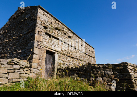Grange en pierre au-dessus de Twaite, Swaledale, Yorkshire Banque D'Images