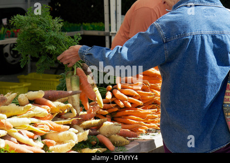 Woman picking out tas de carottes au marché agricole. Oak Park, Illinois Banque D'Images