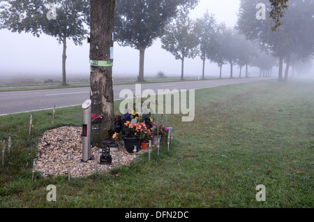 Mémorial de la route après l'accident mortel de la circulation aux Pays-Bas Banque D'Images