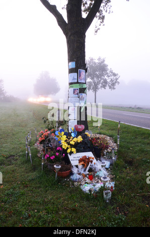 Mémorial de la route après l'accident mortel de la circulation aux Pays-Bas Banque D'Images