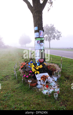 Mémorial de la route après l'accident mortel de la circulation aux Pays-Bas Banque D'Images