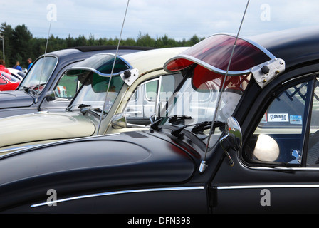 Les coccinelles VW classique au club meeting Budel Pays-bas l'été 2013 Banque D'Images