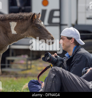 Jeune poulain, photographe avec l'Islande, Islande islandais poulain pure race Banque D'Images