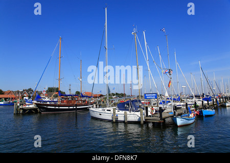 Maasholm harbour, Schlei, mer Baltique, Schleswig-Holstein, Allemagne Banque D'Images