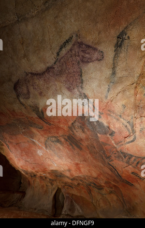 Les chevaux, Peinture préhistorique, art pariétal, environ 15000 BC, Grotte de Tito Bustillo, grotte près de Ribadesella, réplique, Parque de l Banque D'Images