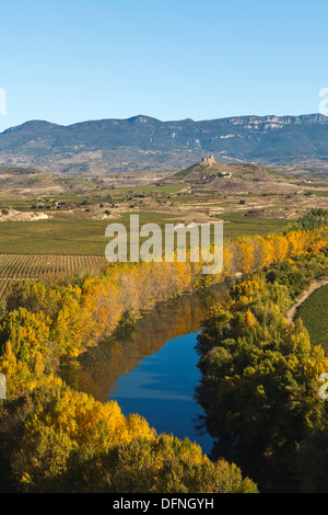 Èbre, l'Èbre, vignes, près de Haro, automne, La Rioja, dans le Nord de l'Espagne, l'Espagne, Europe Banque D'Images