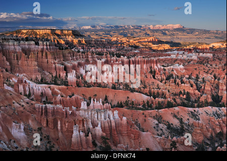 Rock spires à Bryce Canyon, Bryce Canyon National Park, Utah, USA, Amérique du Sud-ouest, Banque D'Images