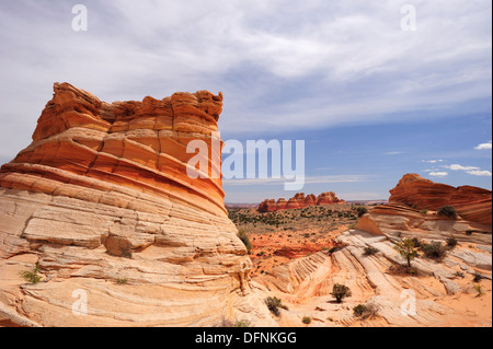 Formations de grès rouge ciel assombri sous, Coyote Buttes, Paria Canyon, Vermilion Cliffs National Monument, Arizona, au sud-ouest, Banque D'Images