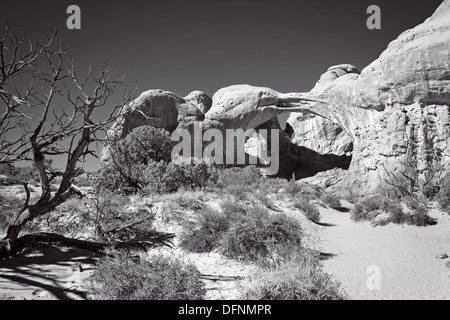 Cette image en noir et blanc montre un ensemble d'arches double au parc national Arches dans l'Utah. Banque D'Images