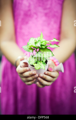 Midsection view of a Girl holding a potted plant Banque D'Images