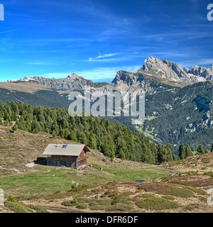 Hutte de montagne et de vaches laitières sur un pâturage Banque D'Images