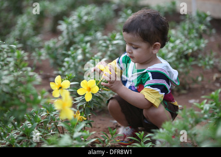 Portrait d'un jeune Indien de 5 ans curieusement à la recherche sur les fleurs Banque D'Images