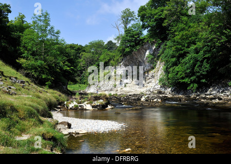 Une falaise de calcaire carbonifère (Loup) cicatrice sur la rivière Wharfe, Yorkshire Dales National Park, England Banque D'Images