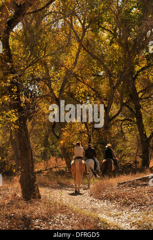 Ride the cavaliers Juan Bautista de Anza national historic trail, tucab, Arizona, USA. Banque D'Images