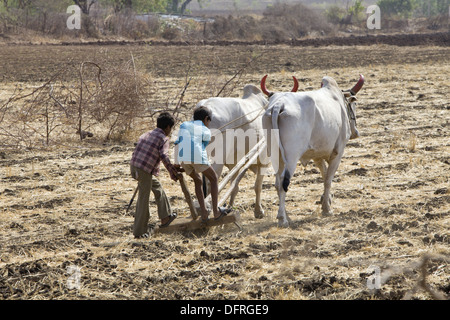 La tribu Korku enfants travaillant dans les champs, Khalwa, Jharikheda village, Madhya Pradesh, Inde. Banque D'Images