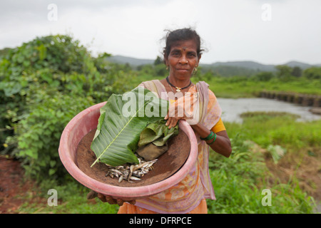 Femme avec tribal Katkari poisson dans le panier, Maharashtra, Inde. Banque D'Images